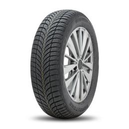 Roadstone Winguard SnowG WH2 185/70R14 88T